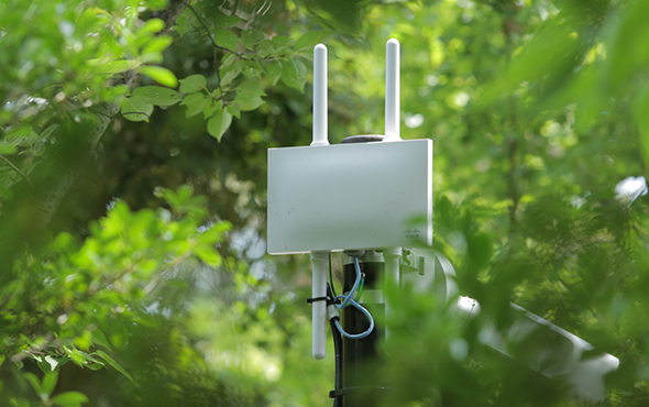 陣屋様の屋外にて:「Cisco Meraki」のアクセスポイントが設置されているお写真(1)