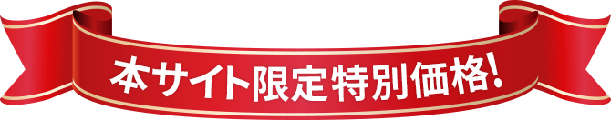 本サイト限定特別価格!